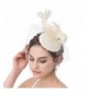 ABaowedding Fascinator Feather Wedding Headwear