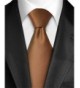 Dabung Classic Polyester Necktie Brown Matte