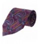 Paisley Stripe Elegant Designer Neckties