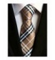 L04BABY Checks Jacquard Formal Necktie