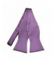 TieMart Wisteria Purple Premium Self Tie