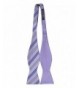 Woven Striped Reversible Self Tie Lavender