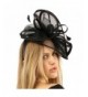 New Trendy Women's Special Occasion Accessories