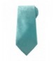 Necktie Green Elegant Paisley Design