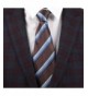 PUREMSX Classic Business Jacquard Neckties