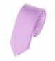 Modern Trendy Polyester Neckties Lavender