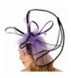 fashion2100 Leaves Feather Fascinator Purple