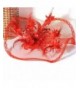 Cheap Women's Special Occasion Accessories Wholesale