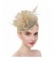 Fascinators Women Kentucky Flower Headband