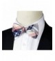 Brands Men's Bow Ties Outlet