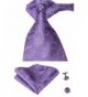 Hi Tie Purple Paisley Jacquard Necktie
