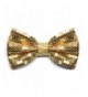 TieMart Gold Sequin Bow Tie