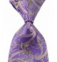 Mr ZHANG Paisley Purple JACQUARD Necktie