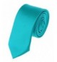 Modern Trendy Polyester Neckties Turquoise