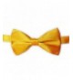 TOPTIE Wholesale Bowtie Formal Banded