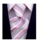 Striped Ties Men Woven Necktie x