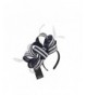 ABPF Sinamay Feather Fascinator Headband