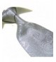 Fashion Microfibre Silver Paisley Necktie