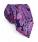 Shlax Wing Neckties Paisley Accessories