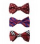 New Trendy Men's Bow Ties Outlet