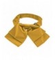 TieMart Marigold Floppy Bow Tie