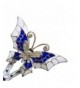 Fashion Lifestyle Traditional Accessory Butterfly