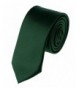Modern Trendy Polyester Neckties Colors