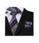 Barry Wang Paisley Necktie Handkerchief Cufflinks