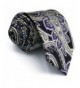 Paisley Purple Necktie Wedding Designer