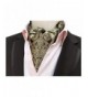 Elfeves Bronze Designer Handkerchief Neckties