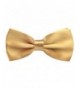 Pre Tied Adjustable Length Tuxedo Champagne